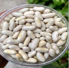 White Rajma 250g